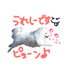 もふポメ福詠くん9（個別スタンプ：5）