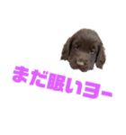 さっくりサクサク（個別スタンプ：1）