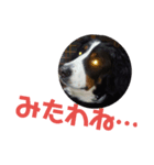 さっくりサクサク（個別スタンプ：2）