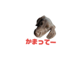 さっくりサクサク（個別スタンプ：4）
