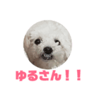 さっくりサクサク（個別スタンプ：8）