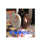 れみ かれん（個別スタンプ：25）