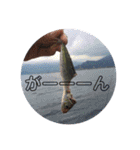 ziggy fishing no1（個別スタンプ：7）
