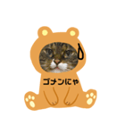 にゃんずらいふ①（個別スタンプ：1）
