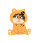にゃんずらいふ①（個別スタンプ：3）