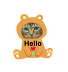 にゃんずらいふ①（個別スタンプ：5）
