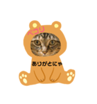 にゃんずらいふ①（個別スタンプ：6）