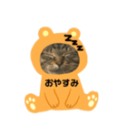 にゃんずらいふ①（個別スタンプ：7）