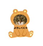 にゃんずらいふ①（個別スタンプ：9）