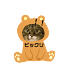 にゃんずらいふ①（個別スタンプ：10）
