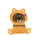 にゃんずらいふ①（個別スタンプ：11）