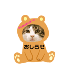 にゃんずらいふ①（個別スタンプ：12）