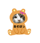 にゃんずらいふ①（個別スタンプ：13）