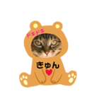 にゃんずらいふ①（個別スタンプ：14）