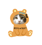 にゃんずらいふ①（個別スタンプ：15）