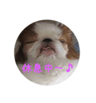 はなちゃんスタンプ～2（個別スタンプ：4）