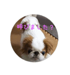 はなちゃんスタンプ～2（個別スタンプ：8）