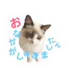 しぴぱふおばちゃん1（個別スタンプ：2）