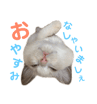 しぴぱふおばちゃん1（個別スタンプ：5）