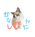 しぴぱふおばちゃん1（個別スタンプ：7）