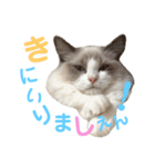 しぴぱふおばちゃん1（個別スタンプ：9）