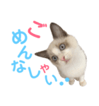 しぴぱふおばちゃん1（個別スタンプ：13）