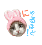 しぴぱふおばちゃん1（個別スタンプ：23）
