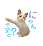しぴぱふおばちゃん1（個別スタンプ：24）