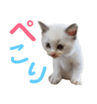 しぴぱふおばちゃん1（個別スタンプ：32）