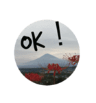 富士山 N o2（個別スタンプ：9）