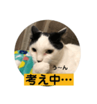 あたちよ ナヴィよ3（個別スタンプ：1）