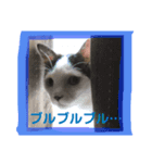 あたちよ ナヴィよ3（個別スタンプ：2）
