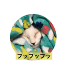あたちよ ナヴィよ3（個別スタンプ：3）
