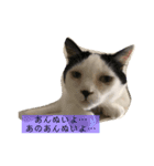 あたちよ ナヴィよ3（個別スタンプ：7）