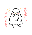 bb鳥スタンプ（個別スタンプ：1）