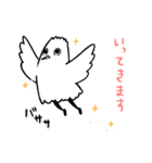 bb鳥スタンプ（個別スタンプ：5）