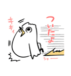 bb鳥スタンプ（個別スタンプ：36）