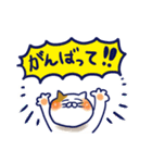 のほほんなネコのスタンプ（個別スタンプ：24）