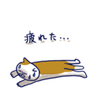 のほほんなネコのスタンプ（個別スタンプ：26）