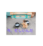 充稀スタンプ（個別スタンプ：2）