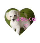 ジョニーのひとことスタンプ（個別スタンプ：2）