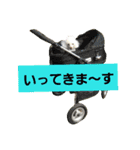 ジョニーのひとことスタンプ（個別スタンプ：5）