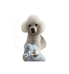 ジョニーのひとことスタンプ（個別スタンプ：14）