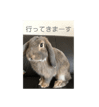 うさぎ-2018-04（個別スタンプ：5）