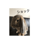 うさぎ-2018-04（個別スタンプ：6）