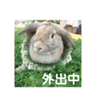 うさぎ-2018-04（個別スタンプ：8）