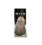 うさぎ-2018-04（個別スタンプ：9）