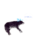 愛犬ラック（個別スタンプ：6）
