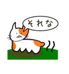 ここねこ命（個別スタンプ：1）