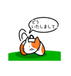 ここねこ命（個別スタンプ：3）